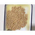 Canned White Kidney beans in brine